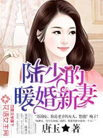 陆少的暖婚新妻唐玉