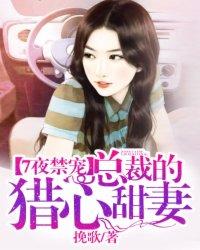 总裁七夜宠妻