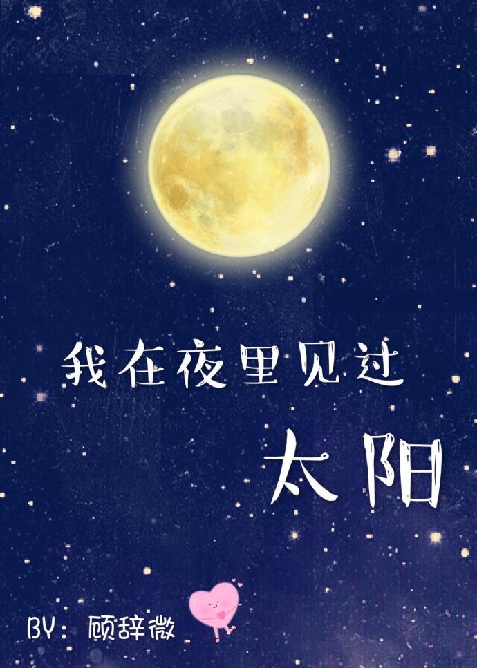 我在黑夜见过太阳