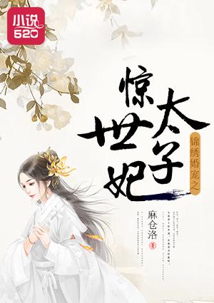 锦绣太子爷完结版