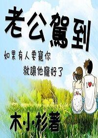 老公驾到网名