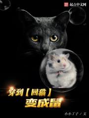 穿越变成猫主受