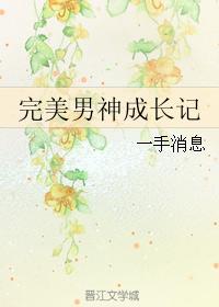 完美男神成长系统