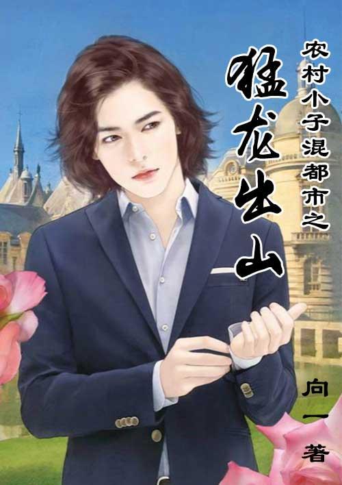 小农民混都市王小龙