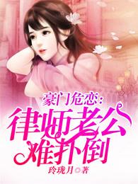 律师老公宠上瘾