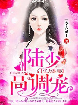 亿万婚宠陆总的心尖妻