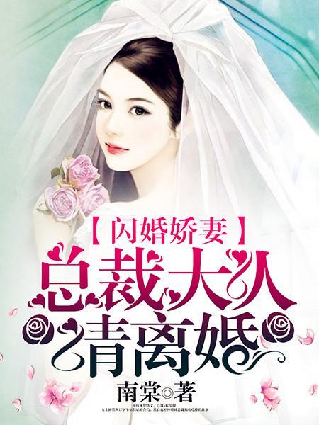 闪婚骄妻