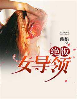 绝版女领导第二部叫什么