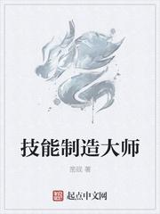 技能制造大师TXT