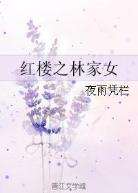 红楼之林家女雨夜