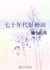 七十年代好种田TXT