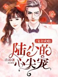 宠妻成瘾陆少的心尖宠第50话