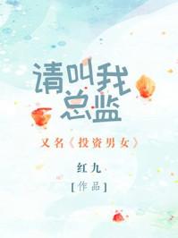 请叫我总监电视剧在线观看完整版