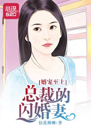 闪婚成爱总裁宠妻有道