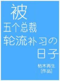 被五个总裁补课的日子