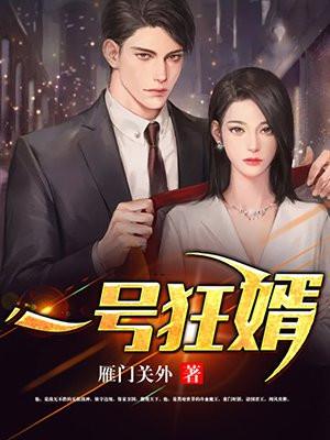 一号狂婿最新正版