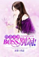 boss别闹免费阅读安音