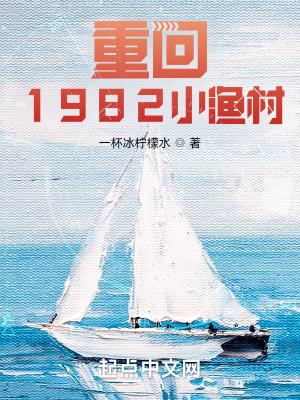 重回1982小渔村完整版TXT