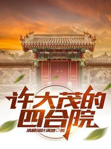 四合院神偷许大茂