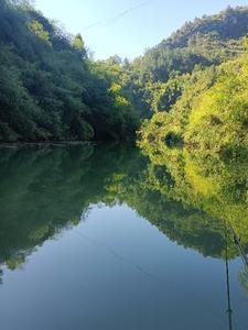 穿越平行世界之悠闲小生活免费阅读