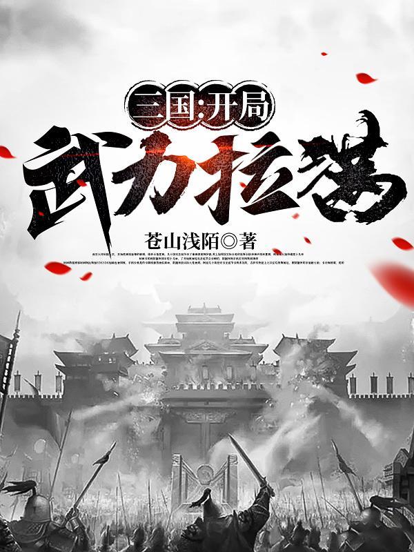 三国开局武力无敌