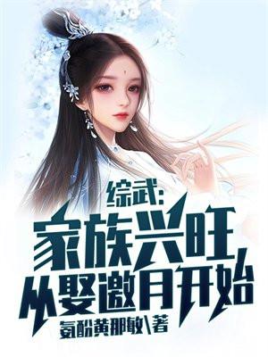 综武家族兴旺从娶邀月开始TXT