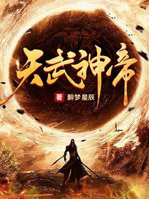 天武神帝境界