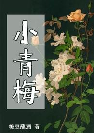 小青梅无弹窗全文免费阅读