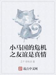 小马国的危机之友谊是真情 ZP枣糕派