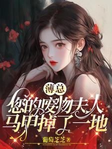 夫人她又不听话