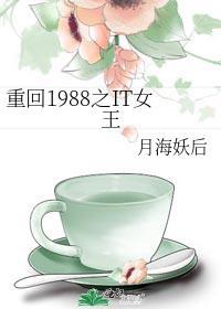 重回1988起点中文网