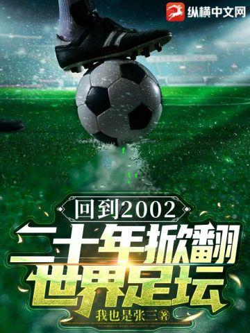 2002年足球事件