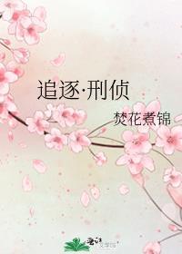 追逐·刑侦TXT