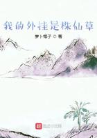 苏寒苏云明