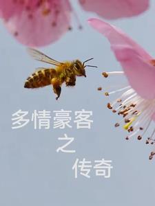 己未豪客传奇歌曲