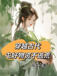 囤物资穿越年代文