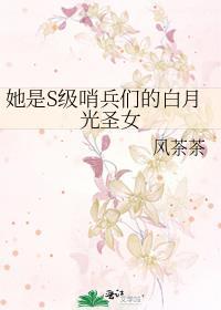 她是S级哨兵们的白月光圣女全文免费阅读笔趣阁