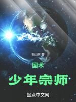 少年宗师的