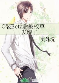 装o后我被beta拱了22