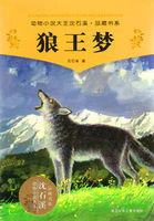 狼王梦推荐一本书500字作文