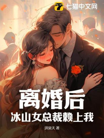 我的冰山女总裁又名离婚后