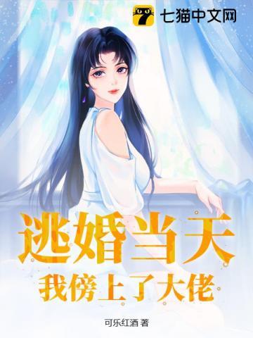 逃婚之后顶点