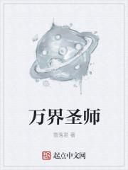 万界圣师境界