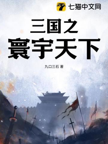 三国之天下使