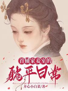 首辅家的小夫郎(女尊)