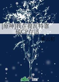 [原神]我在提瓦特靠磕CP存活